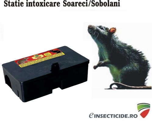 Statie intoxicare rozatoare - TOP18