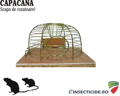 Capcana mecanica contra soarecilor - TTP37
