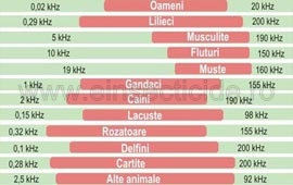Ultrasunete, soareci si sobolani!
