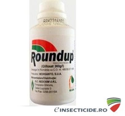 Combate buruienile dintre dalele de ciment cu erbicidul Roundup (100 ml)