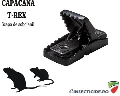 Capcana mecanica pentru soareci - Mini T-rex