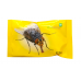  Insektum Forte, 15ml, Insecticid concentrat, emulsionabil, anti insecte