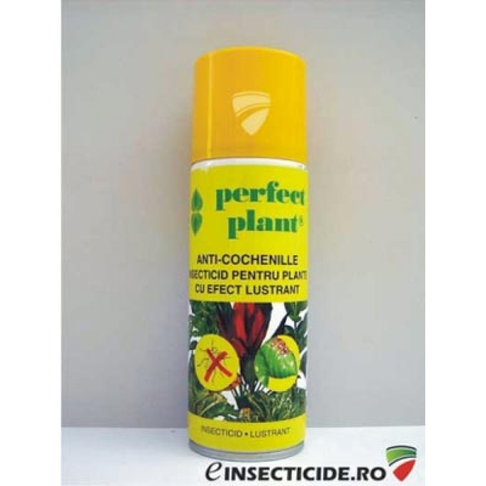 Perfect Plant: Insecticid anti-cochenille pentru protectia plantelor cu efect lustrant (200 ml) 