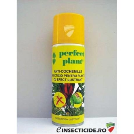 Perfect Plant: Insecticid anti-cochenille pentru protectia plantelor cu efect lustrant (200 ml) 