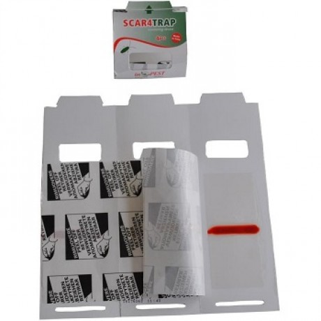 Scar4trap P-04013 (4buc) - Capcana adeziva pentru capturarea gandacilor