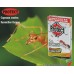 Capcana Protect - pentru furnici faraon 