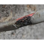 Aparat anti jderi si alte rozatoare pentru protectia autoturismului - Marder frei