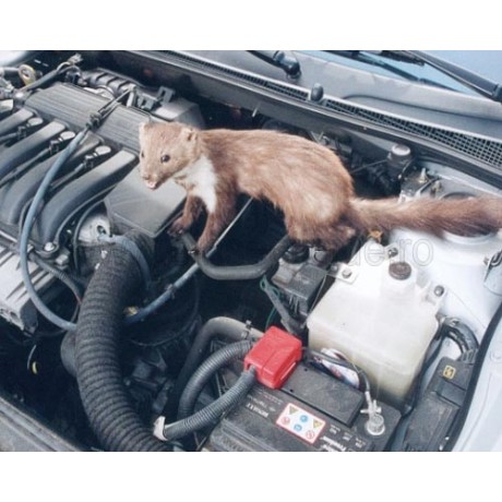 M161: Aparat auto cu ultrasunete anti jderi si alte animale salbatice