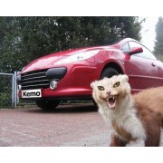 Auto Pest Reject auto (contra soarecilor/sobolanilor) - Protectie auto