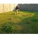 Erbicid + Fertilizant pentru un gazon fara buruieni NPK 9-3-6 DCM, (20 Kg)