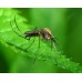 Helpic, 100 ml: Spray anti tantari, tauni si alte insecte intepatoare 