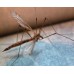 Electric Mosquito Alarm: Aparat cu ultrasunete impotriva tantarilor (20 mp)