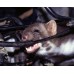M161: Aparat auto cu ultrasunete anti jderi si alte animale salbatice