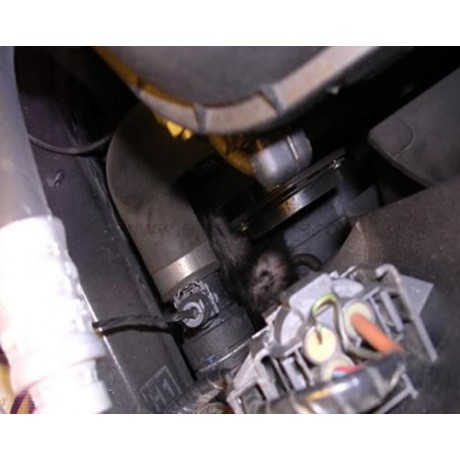 M094: Aparat ultrasunete cu 4 boxe pentru protectia autovehiculelor impotriva rozatoarelor