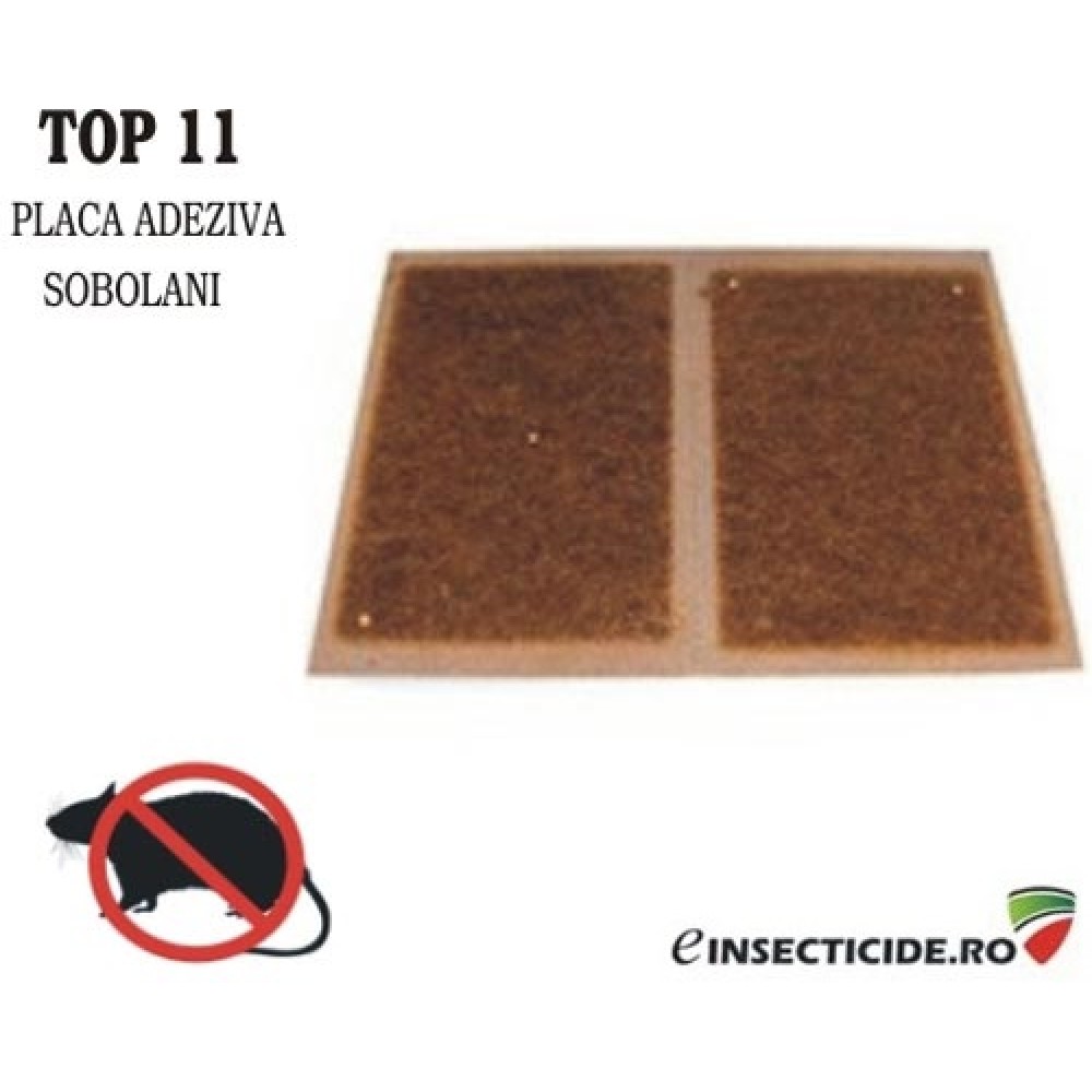  TOP11: Placa adeziva pentru soareci 