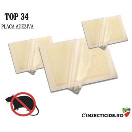TOP34: Capcana adeziva pentru capturarea soarecilor si sobolanilor 